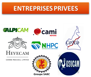 Des entreprises privées